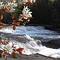 Big Wilson Falls