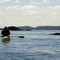 whale & kayak