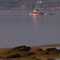 Coast Guard at St. Andrews