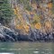 Shoreline Detail along the Bay of Fundy, NB