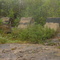 Thyng's Mill abandoned dam