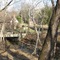Cabell's Mill From Hill Trail, Ellanor C. Lawrence Park, Fairfax, Virginia