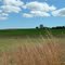 Rolling hills...