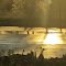 Golden time (Oak Point Rd, Napoleon, MI)