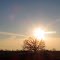 Midwinter morning (Clear Lake Road, Grass Lake, MI)