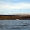 Strait of Juan de Fuca: foggy morning