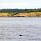 Strait of Juan de Fuca: so close to the States