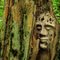 Forest Spirit face - 201007LJW