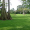 Campos del Irtra