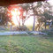THE LAST SUNRISE