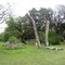McKinney Cemetery