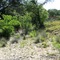 Schuetz Creek