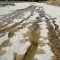 Blanco River (The Great Texas Drought)
