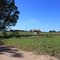 Farm at Brush Arbor and Insco Roads