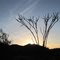 Dramatic Sunset near Aguila Arizona.
