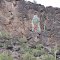 Vigrin of Guadalupe painted on cliff