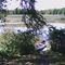Martiny Small Island