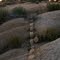 Dividing Line