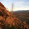 Lucerne Valley from Horsemans Center