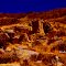 Place of Lizards & Snakes