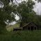 The Shack