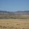 Colorado 14