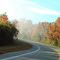 Fall Morning