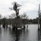 Deerpoint Lake
