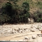 Repairing water pipes, Oropoli, 1999