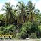 Yuscaran Honduras - Hacienda Agua Fria rio de los Aguacates 6