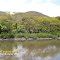 Yuscaran Honduras - Hacienda Agua Fria - Tilapias 04