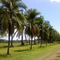 Instituto Nacional Agrario, Sinaloa, Tocoa, Colon.