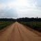 Dirt road outside Marianna, FL
