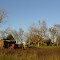 site of future commercial development, guaranteed! Glass Fla (1-2-2013)