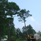 Timber...site of Health Wellness & Life Long Learning Center University of West Georgia
