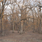 Lacey-Keosauqua: Indian mound to left