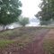 Morehead river
