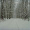 Peaceful Snow