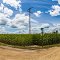 Rural Michigan Crossroads, Panorama - Original is 35495 x 5614