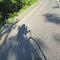 Whitmore Rd, bikers' favorite