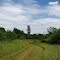 Mown trail in Cherry Hill Nature Preserve