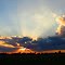 Open field (Lima, MI)