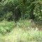 North Country Trail South Off Skuse Road