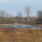 Blue Water on Grass Lake