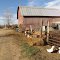 A farm on Losey Road