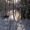 Jordan River in The Jordan Valley MI, on the Snowmobile Trail Looking South, Jan 2009