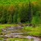 Jordan River I
