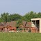 Horses in a Field on Spencer Road, Northfield Township, Michigan