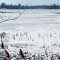 Snow covered Little Cedar Lake