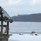 Frozen Pine Lake